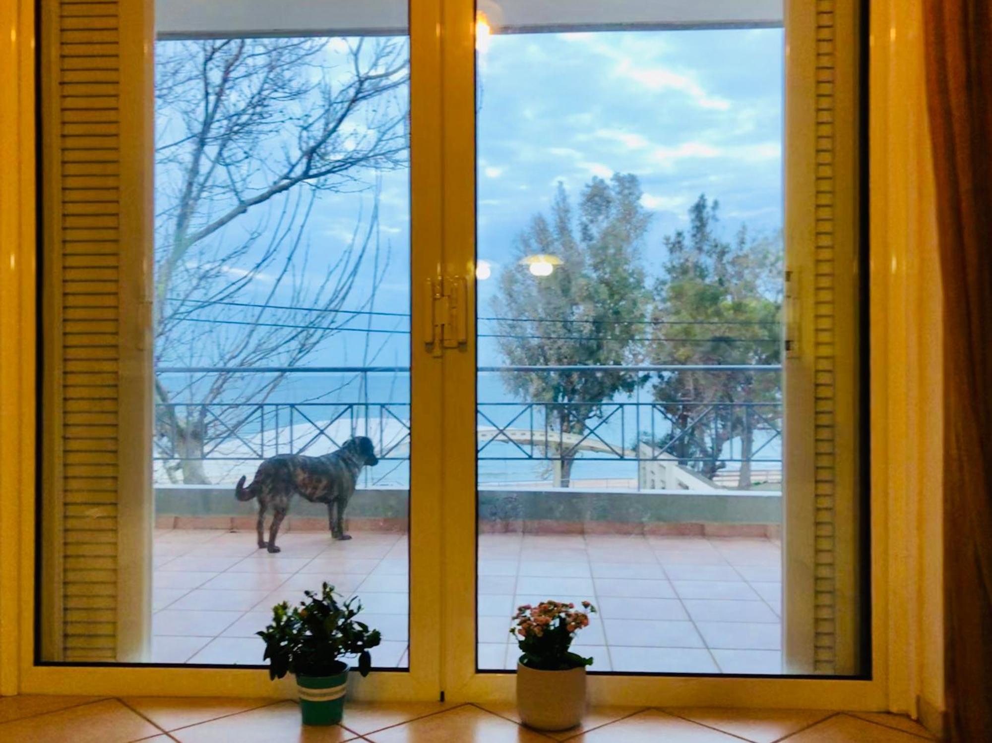 فيلا Chloe'S Sunrise Beach House أثينا المظهر الخارجي الصورة